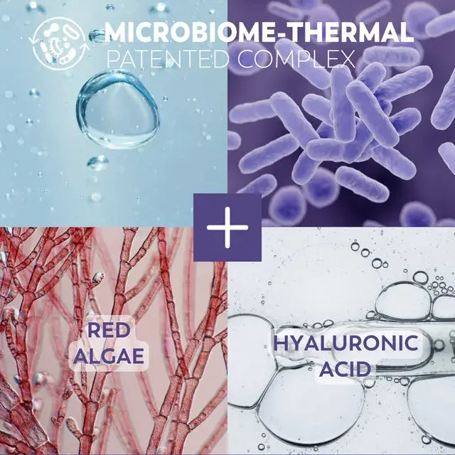 Sublimactive Smoothing Rich Cream